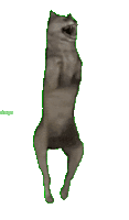 Dancing Wolf